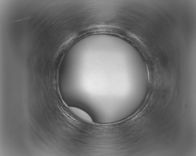 X0000059041403200510070813
