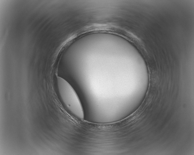 X0000059041411200510070813