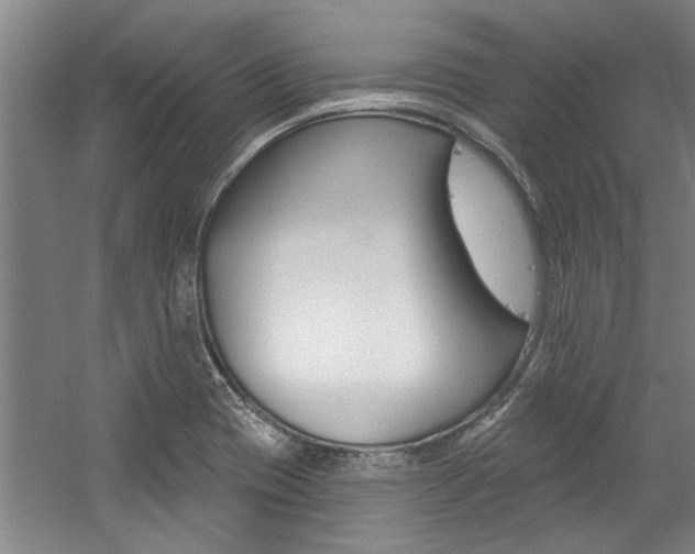 X0000059041417200510070813