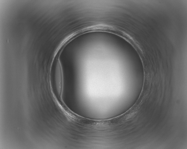 X0000059041418200510070813