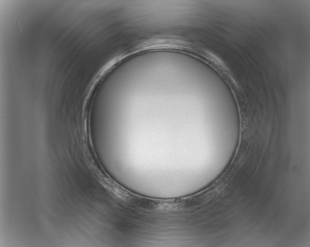 X0000059041419200510070813