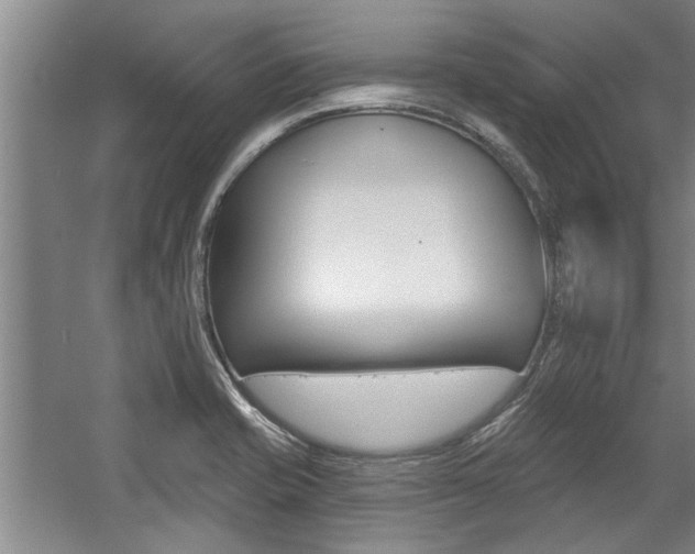 X0000059041421200510070813