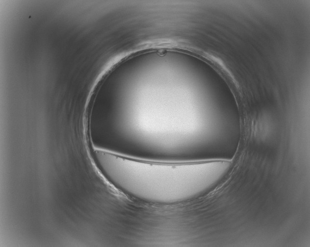 X0000059041424200510070813