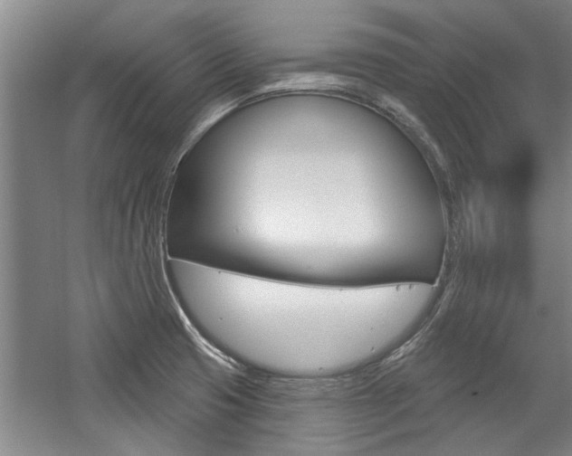 X0000059041425200510070813