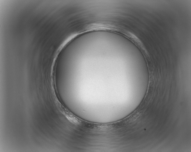 X0000059041427200510070813