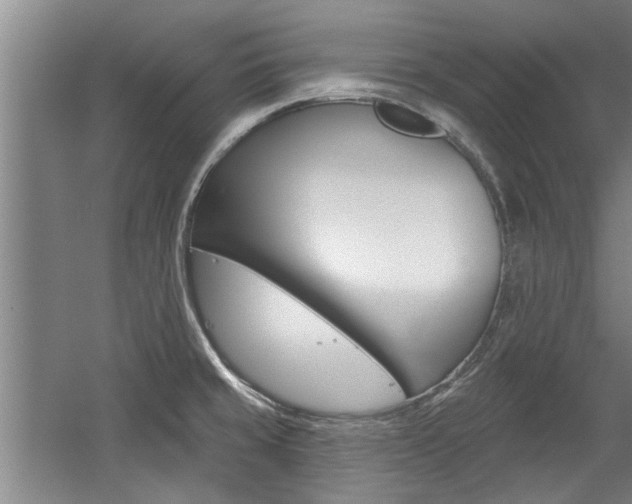 X0000059041429200510070813