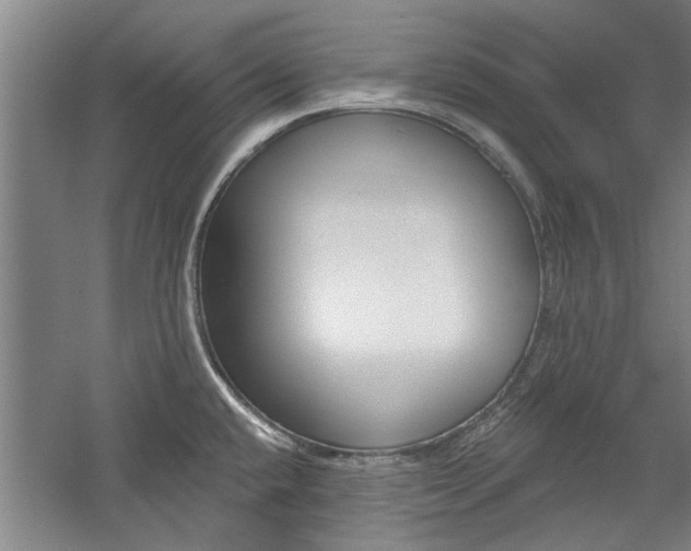 X0000059041432200510070813