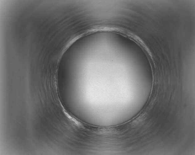 X0000059041433200510070813