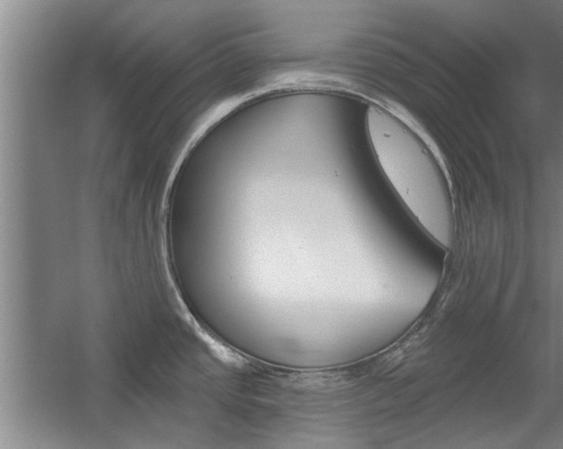 X0000059041437200510070813