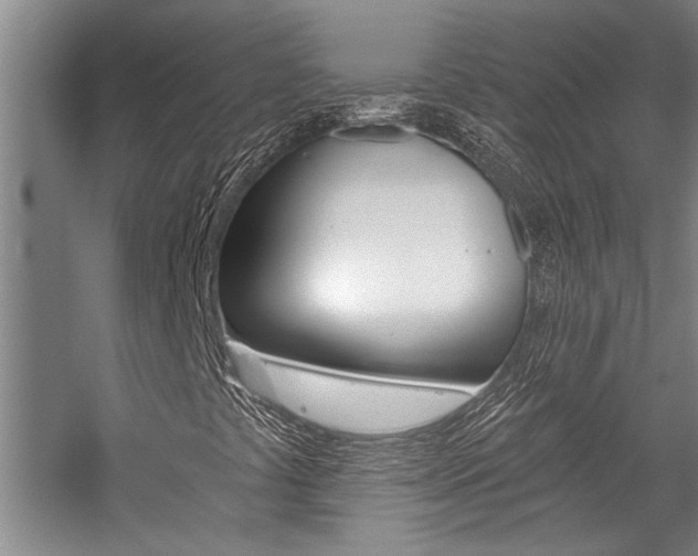 X0000059041441200510070813