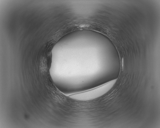 X0000059041443200510070813