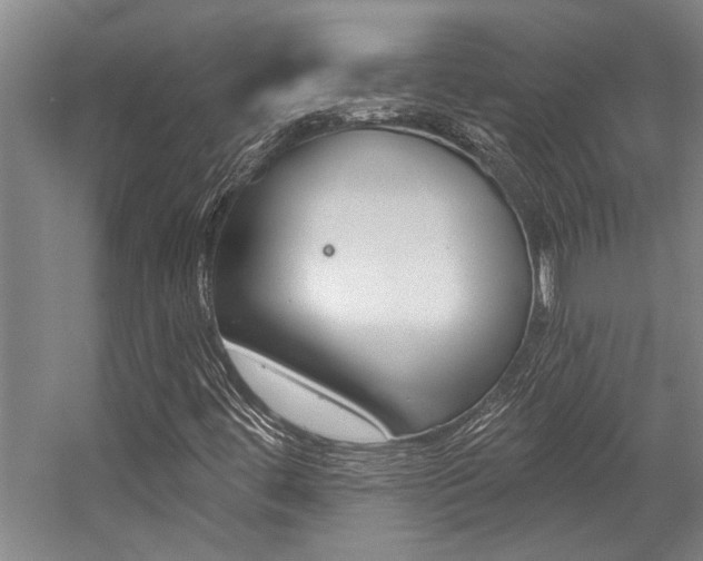 X0000059041444200510070813