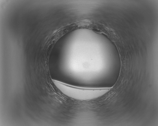 X0000059041445200510070813