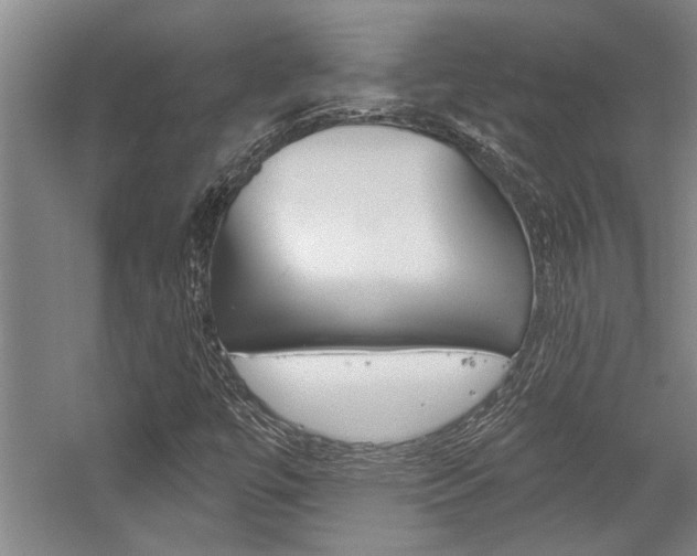 X0000059041447200510070813