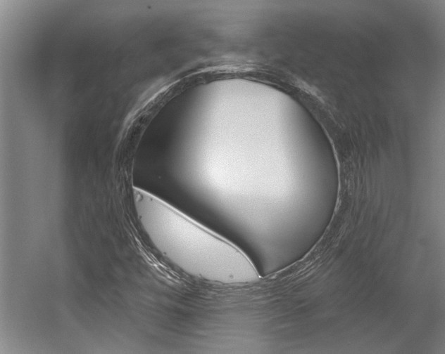 X0000059041448200510070812