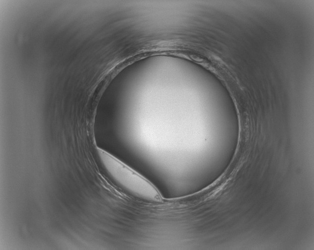 X0000059041449200510070812