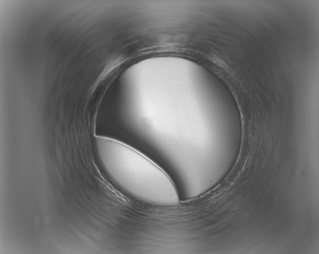 X0000059041450200510070812