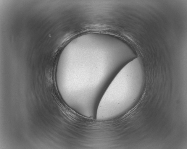 X0000059041451200510070812