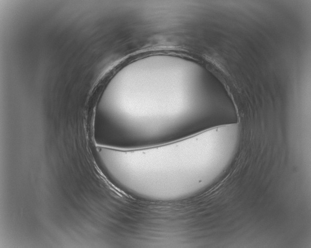 X0000059041452200510070812