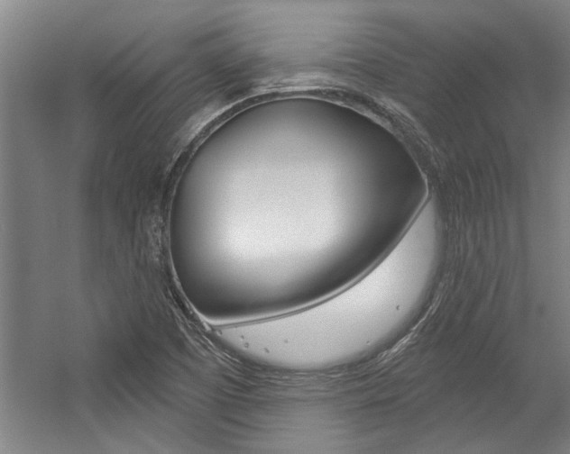 X0000059041457200510070812