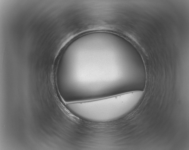 X0000059041460200510070812