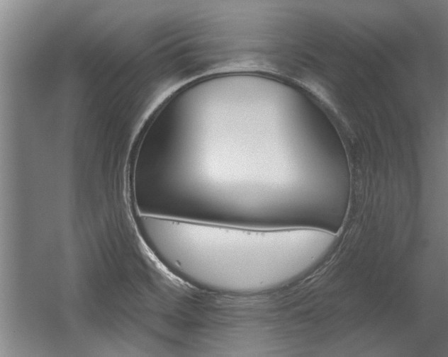 X0000059041468200510070812