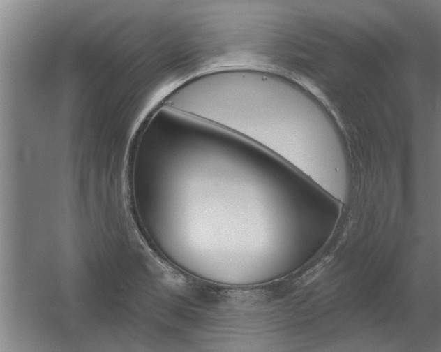 X0000059041469200510070812
