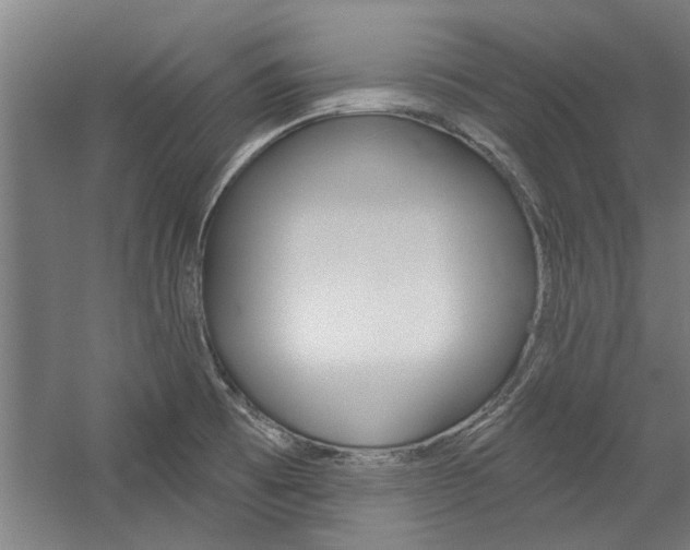 X0000059041473200510070812