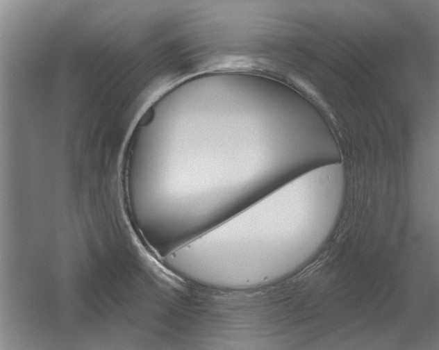 X0000059041475200510070812