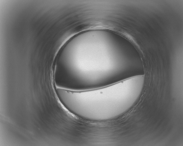 X0000059041476200510070812