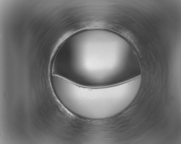 X0000059041480200510070812
