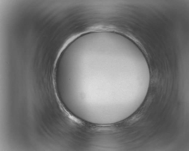 X0000059041486200510070812