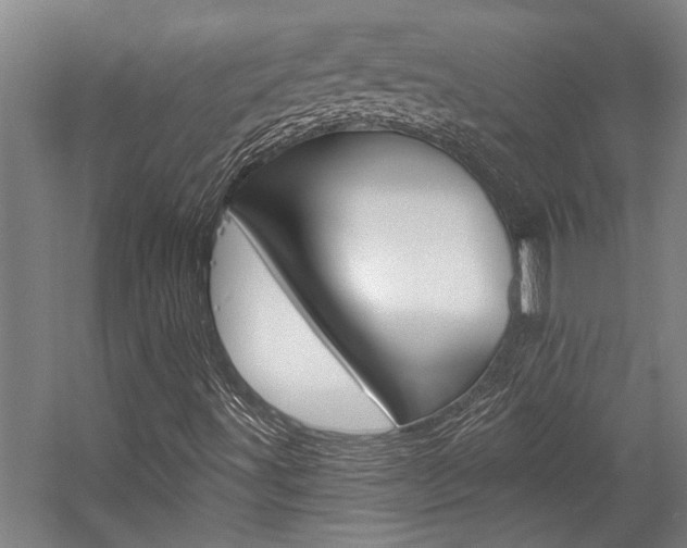 X0000059041491200510070811