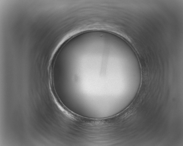 X0000059041515200510070811