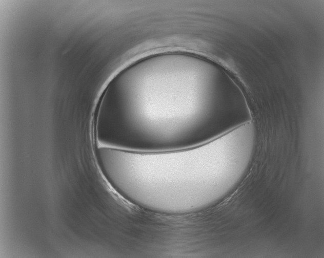 X0000059041516200510070811