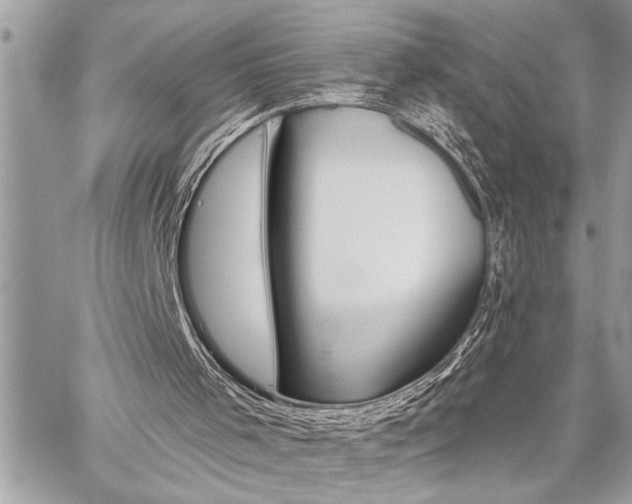 X0000059040001200510071029