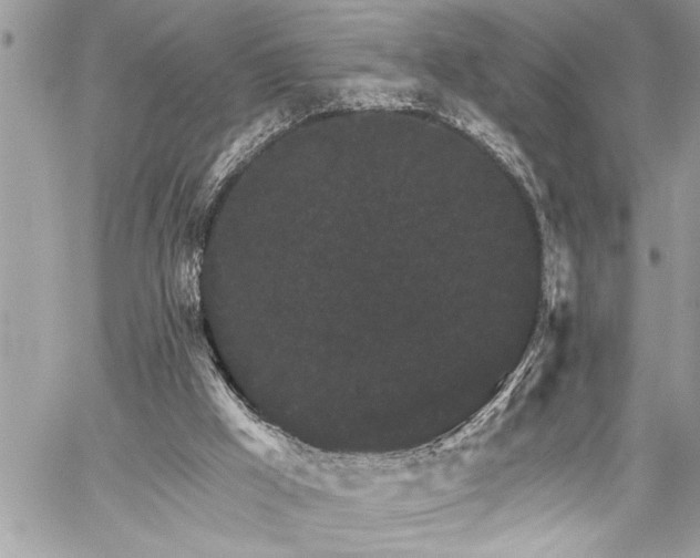 X0000059040009200510071029