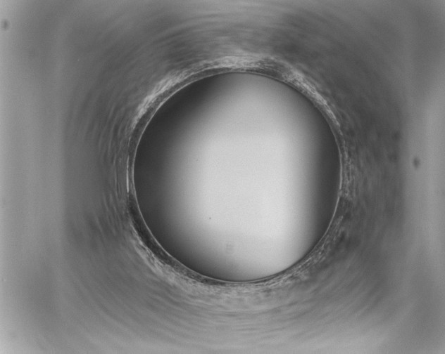 X0000059040011200510071029