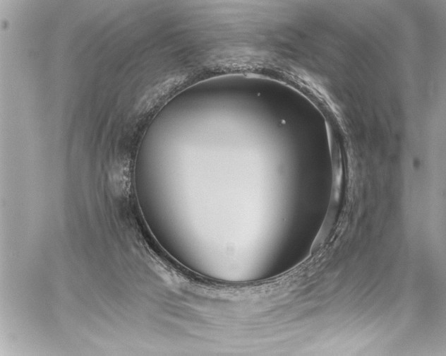 X0000059040017200510071029