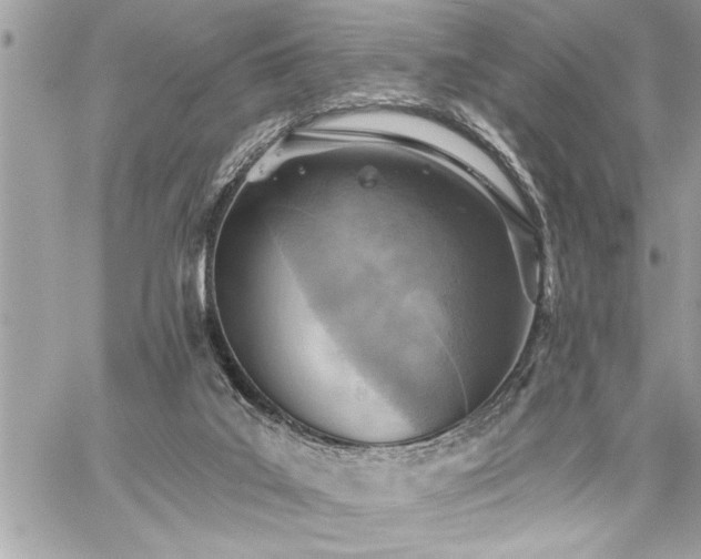 X0000059040019200510071029