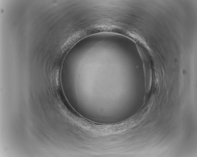 X0000059040023200510071029