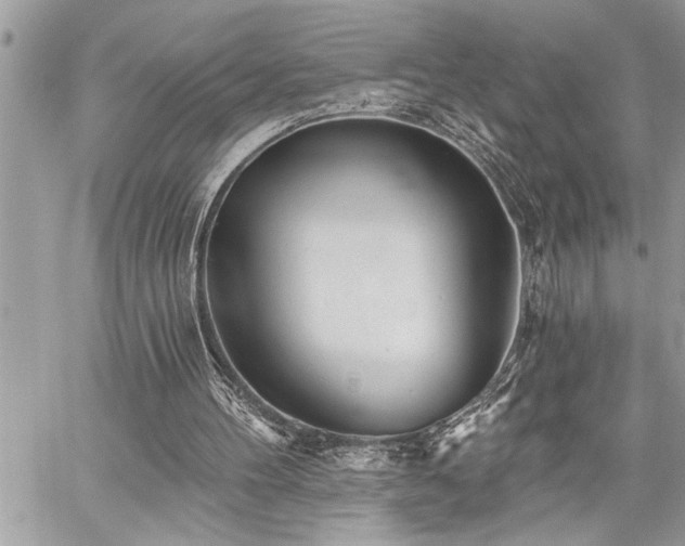X0000059040100200510071027