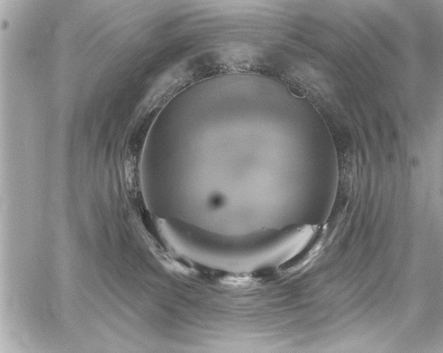 X0000059040139200510071027