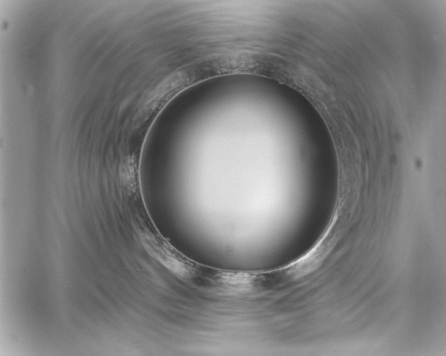 X0000059040144200510071027