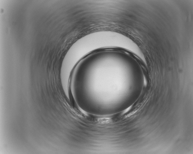 X0000059040185200510071026