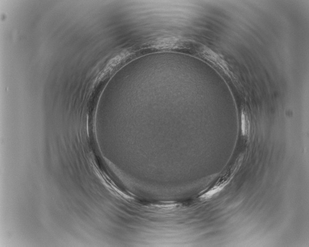 X0000059040205200510071025