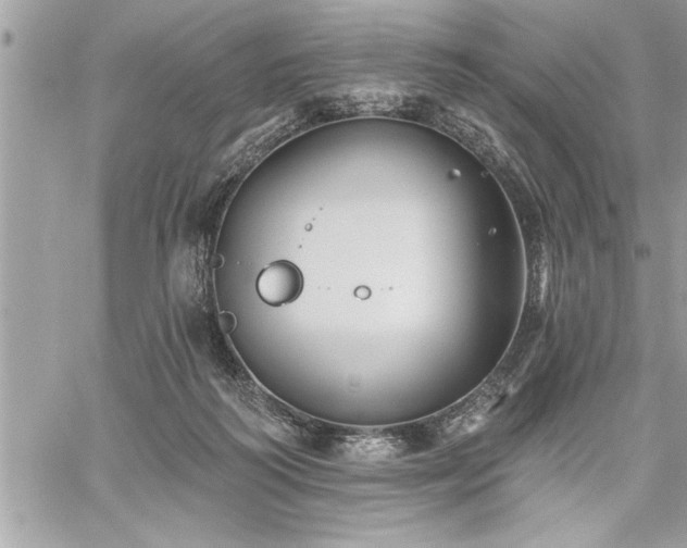 X0000059040218200510071025