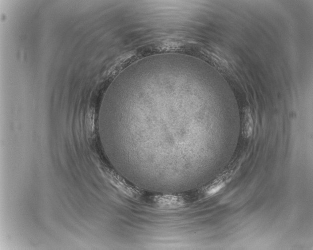 X0000059040230200510071025