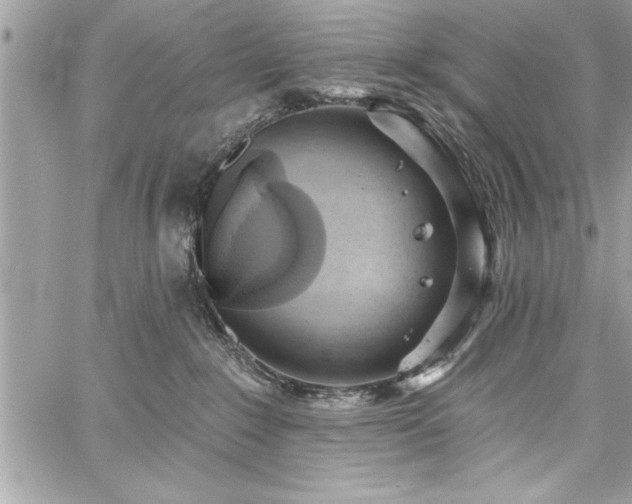 X0000059040235200510071025