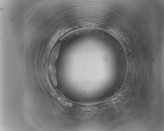 X0000059040241200510071024